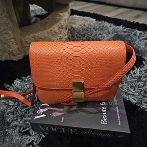 Celine Phyton Skin Box Crossbody Bag with Gold Accent